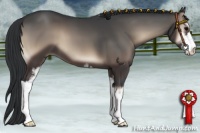 Horse Color:Blue Onyx Sabino