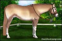 Horse Color:Red Onyx 