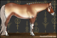 Horse Color:Silver Bay Roan Onyx 