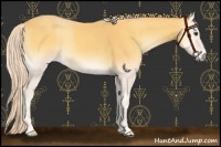 Horse Color:Palomino Onyx 