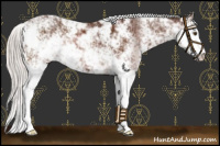 Horse Color:Silver Brown Sabino 