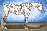 Horse Color:White Spotted Silver Brown Dun Near Leopard 