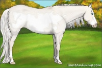 Horse Color:Silver Smoky Creme Roan Dun Frame Rabicano