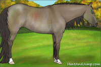 Horse Color:Smoky Grullo Rabicano 