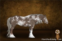 Horse Color:White Spotted Liver Chestnut Mushroom 
