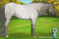 Horse Color:Smoky Grullo Roan Rabicano 