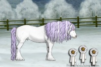 Horse Color:Painted White Spotted Silver Brown Chinchilla Ice Onyx