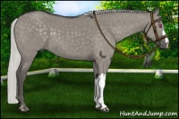 Horse Color:Silver Smoky Grullo Chinchilla