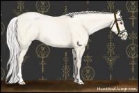 Horse Color:Chocolate Silver Smoky Black Chinchilla Pearl Sabino 