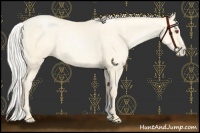 Horse Color:Chocolate Silver Smoky Black Chinchilla Pearl Sabino 