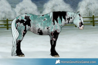 Horse Color:Watercolor White Spotted Silver Brown Chinchilla Ice 