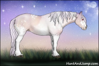 Horse Color:Watercolor White Spotted Silver Brown Chinchilla Pearl