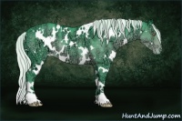 Horse Color:Watercolor White Spotted Silver Black Chinchilla Ice Appaloosa 