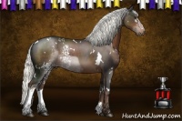 Horse Color:White Spotted Liver Chestnut Mushroom