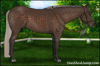 Horse Color:Silver Brown 