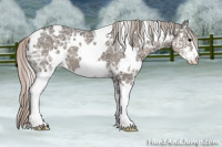 Horse Color:White Spotted Silver Black Ice Sabino
