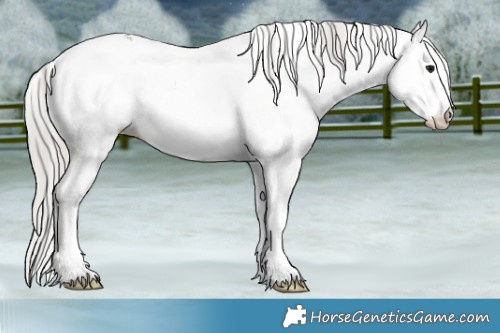 Horse Color:White Spotted Silver Black Ice Mushroom 