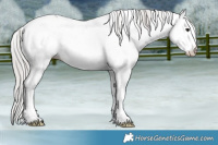 Horse Color:White Spotted Silver Black Ice Mushroom 
