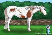 Horse Color:White Spotted Silver Brown Tobiano 