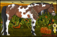 Horse Color:Bay Tobiano Frame 