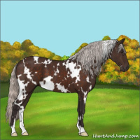Horse Color:White Spotted Silver Brown 