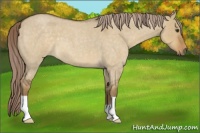 Horse Color:Chocolate Palomino Roan Dun 