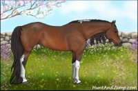 Horse Color:Buckskin Tobiano