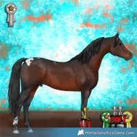Horse Color:Brown Tobiano 