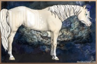 Horse Color:Palomino Pearl Sabino Splash 