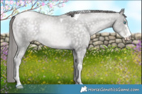 Horse Color:Platinum Buckskin Pearl Sabino Tobiano 