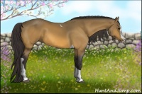 Horse Color:Buckskin Sabino Splash Tobiano 