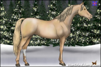Horse Color:Chestnut Pearl Sabino