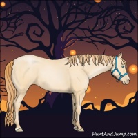 Horse Color:Buckskin Pearl Sabino 