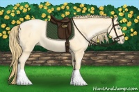 Horse Color:Buckskin Pearl Sabino