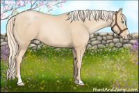Horse Color:Palomino Pearl Sabino 