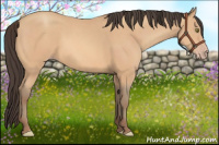 Horse Color:Amber Champagne