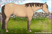 Horse Color:Amber Champagne
