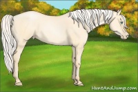 Horse Color:Silver Buckskin Pearl Dun Sabino