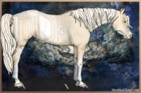 Horse Color:Palomino Roan Pearl 