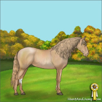 Horse Color:Chestnut Pearl Sabino