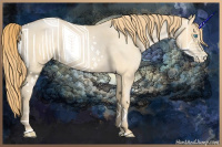 Horse Color:Buckskin Roan Pearl Sabino