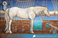 Horse Color:Chocolate Palomino Pearl Dun Tobiano