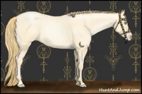 Horse Color:Buckskin Roan Pearl Sabino 