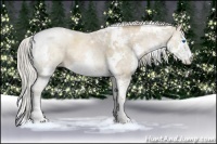 Horse Color:Chocolate Palomino Pearl Sabino Splash Tobiano