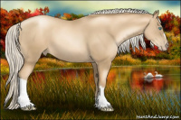 Horse Color:Gray Gold Cream Champagne Pearl