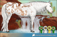 Horse Color:White Spotted Silver Bay Dun Blanket Brindle 