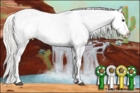 Horse Color:White Spotted Silver Bay Dun Appaloosa Brindle 