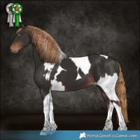 Horse Color:Chocolate Palomino Pearl Sabino and Liver Chestnut Tobiano