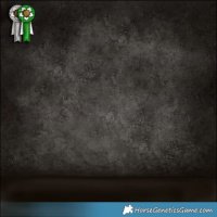 Horse Color:Chocolate Palomino Pearl Sabino and Liver Chestnut Tobiano