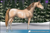 Horse Color:Bay Pearl Sabino Tobiano 
